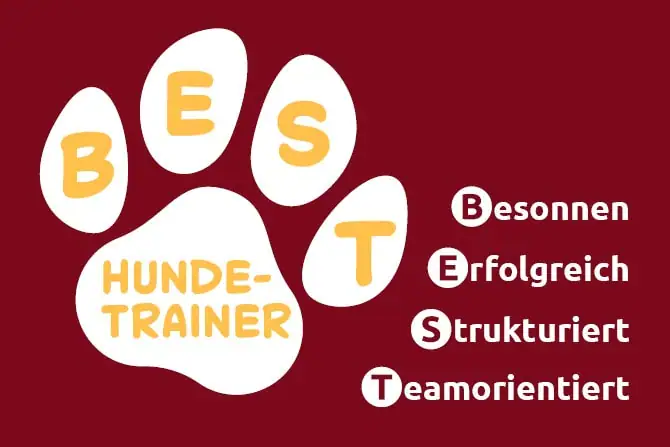 atn best hundetrainer praxis fuer hundetrainer atn nach der ausbildung atn best hundetrainer praxis fuer hundetrainer atn nach der ausbildung